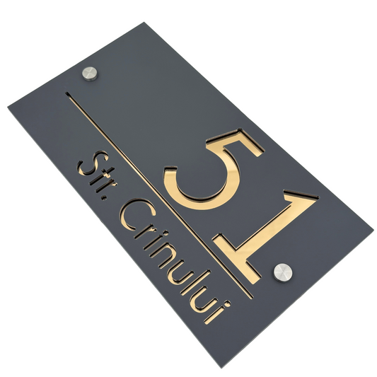 PREMIUM HOUSE NUMBER - Satin Grey Gold Mirror 2 Spacers Silver - 28×15 cm