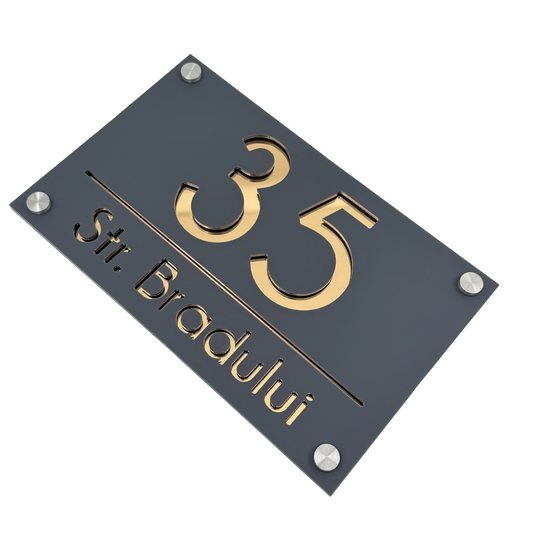 PREMIUM HOUSE NUMBER - Satin Grey Gold Mirror 4 Spacers Silver - 24×15 cm