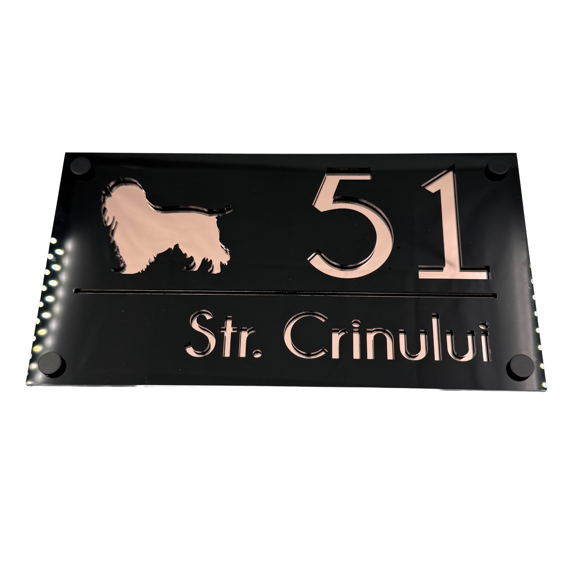 PREMIUM HOUSE NUMBER - Glossy Black Rose Gold Mirror 4 Spacers NeGreyi - 28×15 cm