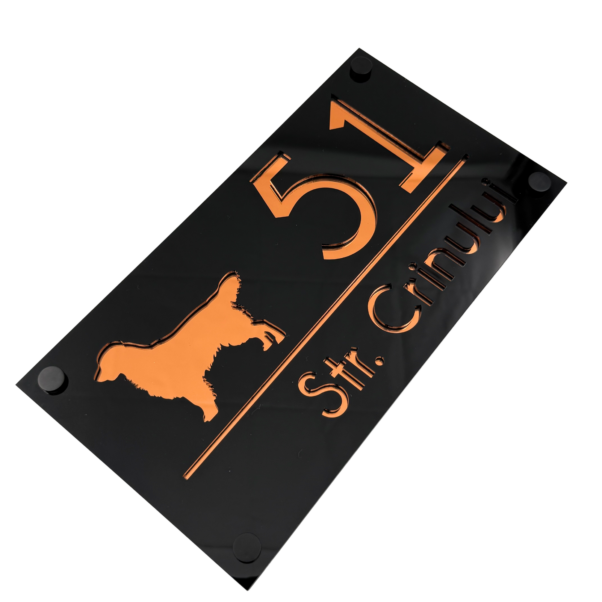 PREMIUM HOUSE NUMBER - Glossy Black Copper Mirror 4 Spacers Silver - 28×15 cm