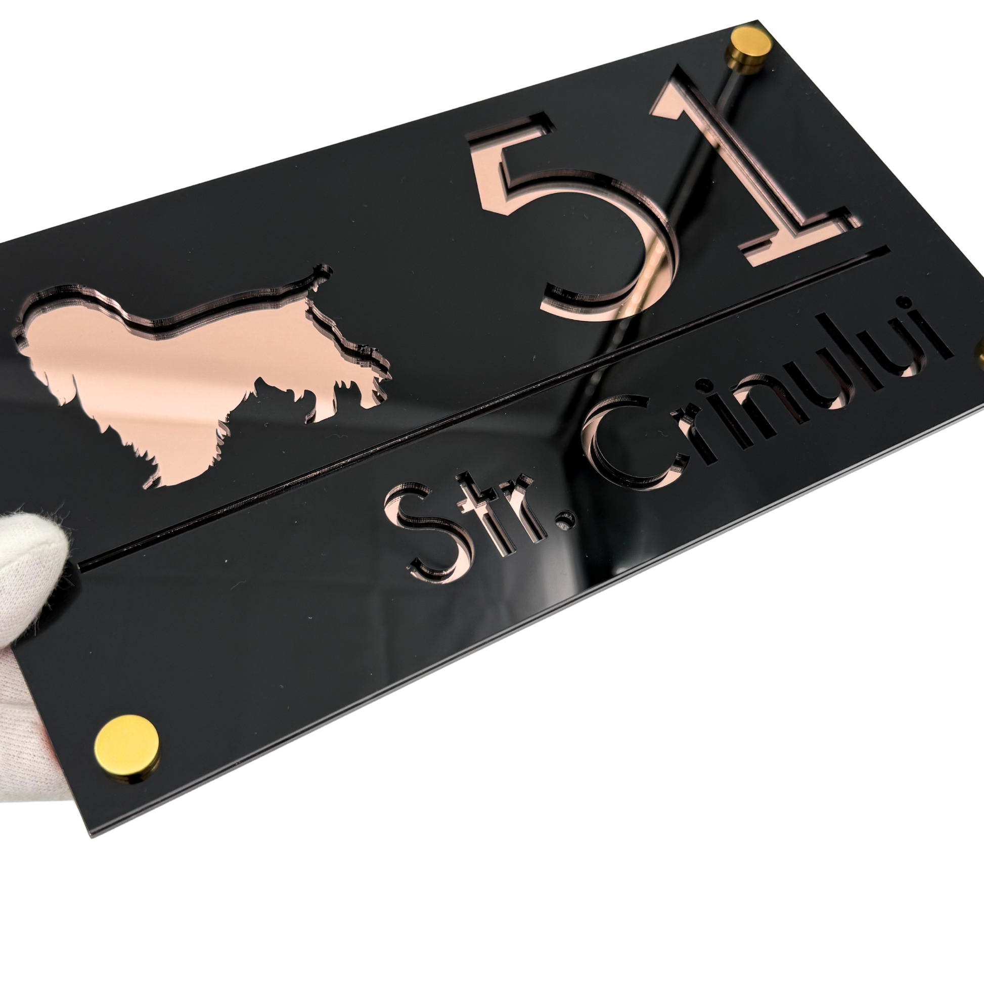 PREMIUM HOUSE NUMBER - Glossy Black Rose Gold Mirror 4 Spacers Gold - 28×15 cm