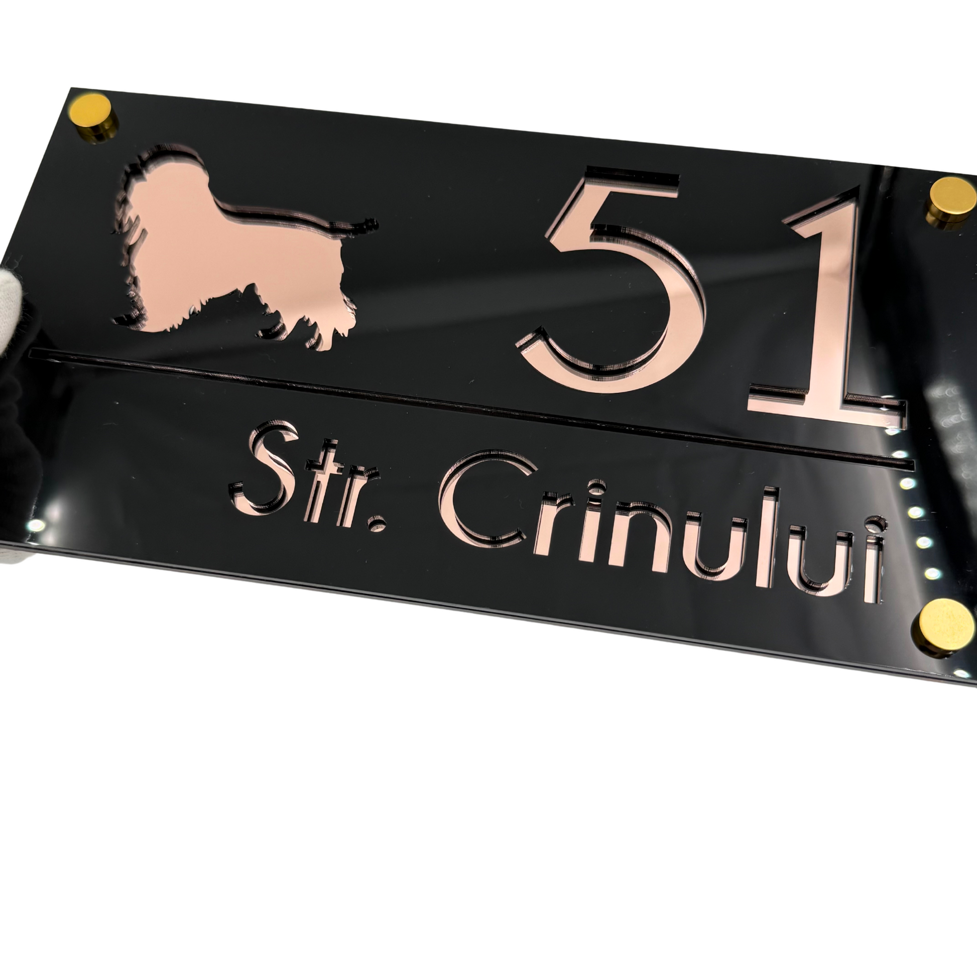 PREMIUM HOUSE NUMBER - Glossy Black Rose Gold Mirror 4 Spacers Gold - 28×15 cm
