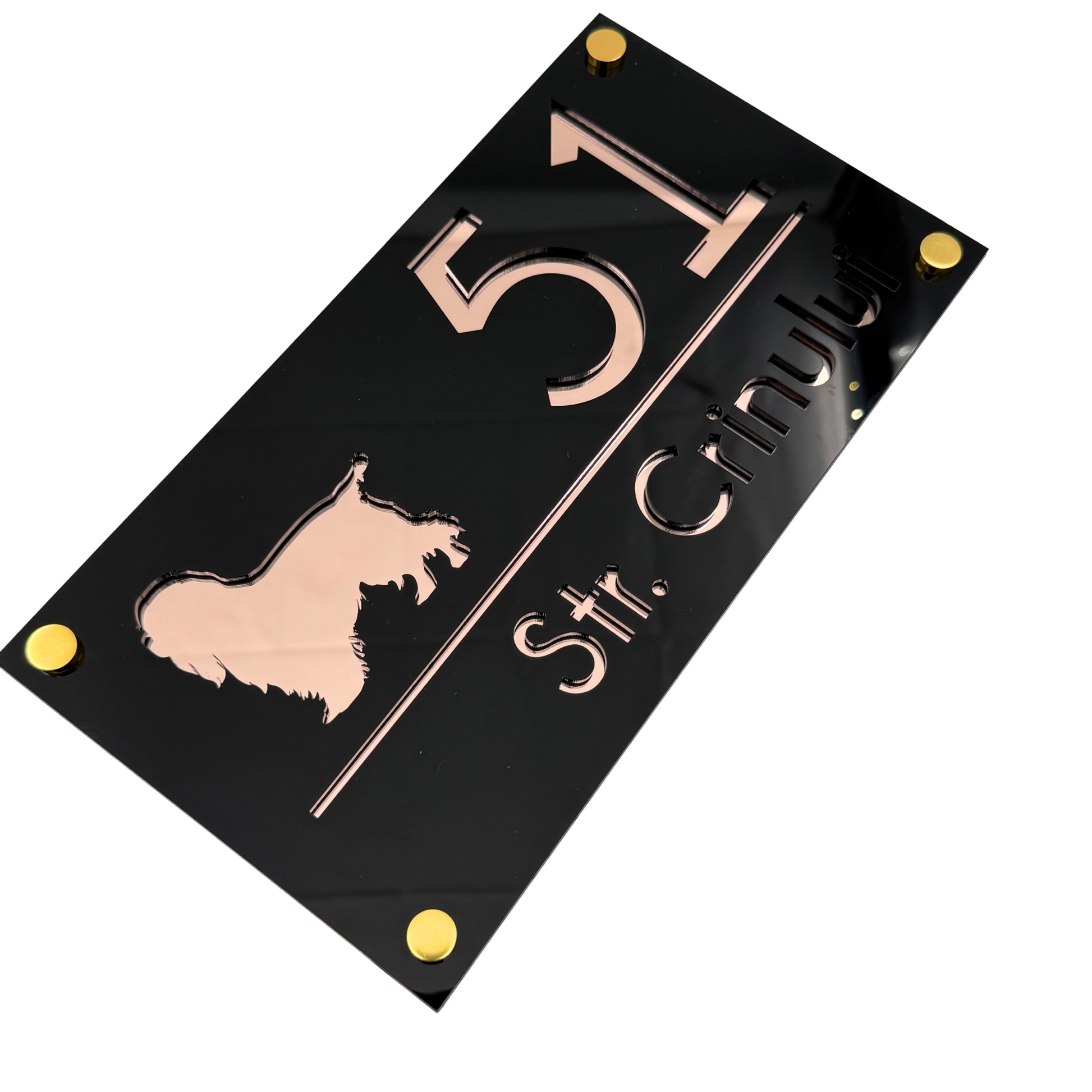 PREMIUM HOUSE NUMBER - Glossy Black Rose Gold Mirror 4 Spacers Gold - 28×15 cm