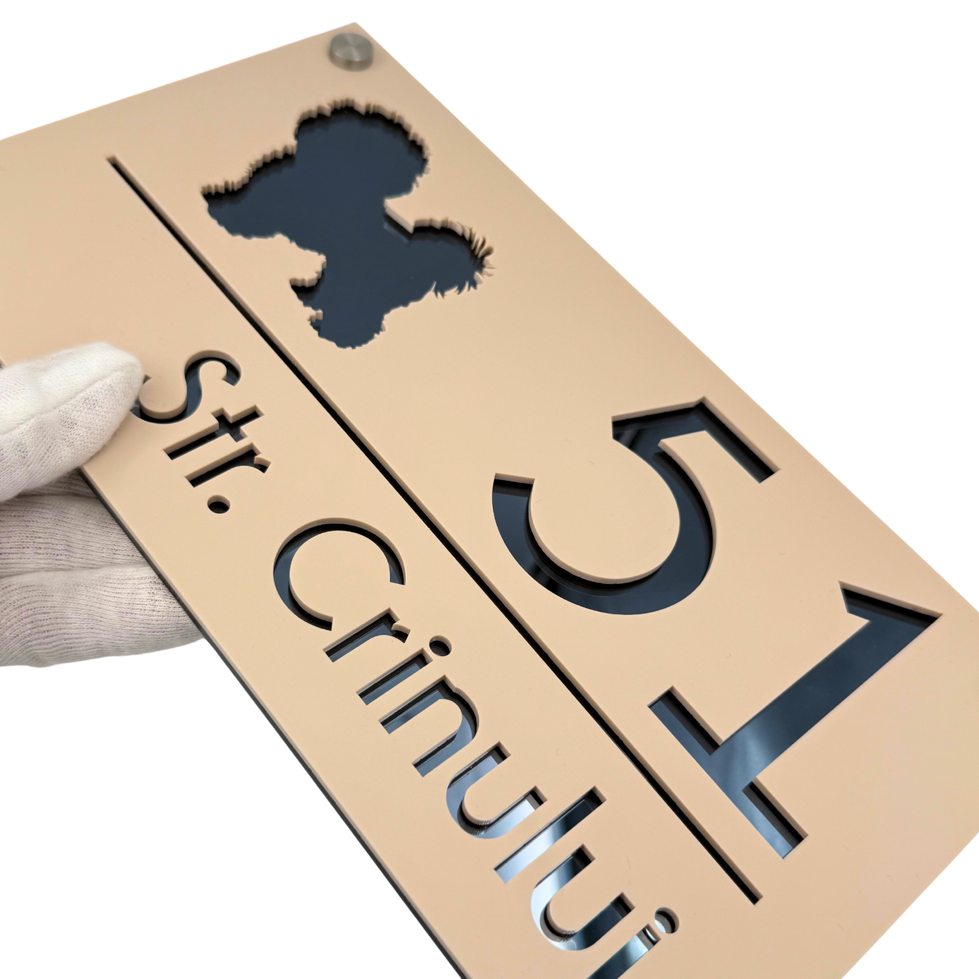 PREMIUM HOUSE NUMBER - Cream colour Satin Anthracite Grey Mirror 4 Spacers Silver - 28×15 cm