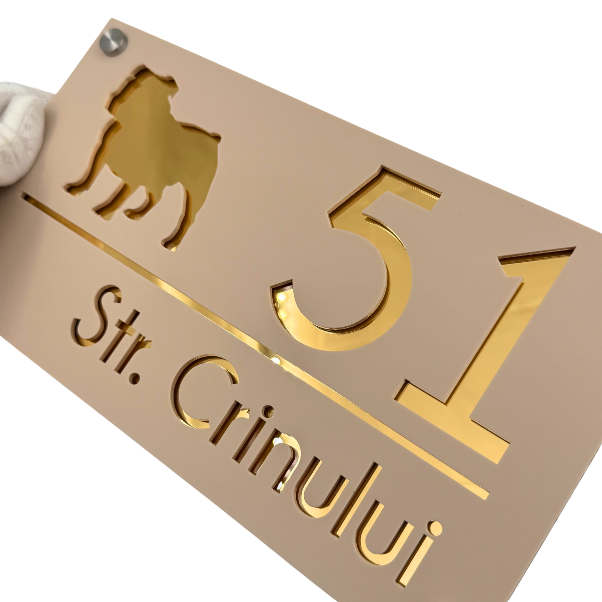 PREMIUM HOUSE NUMBER - Cream colour Satin Gold Mirror 4 Spacers Silver - 28×15 cm