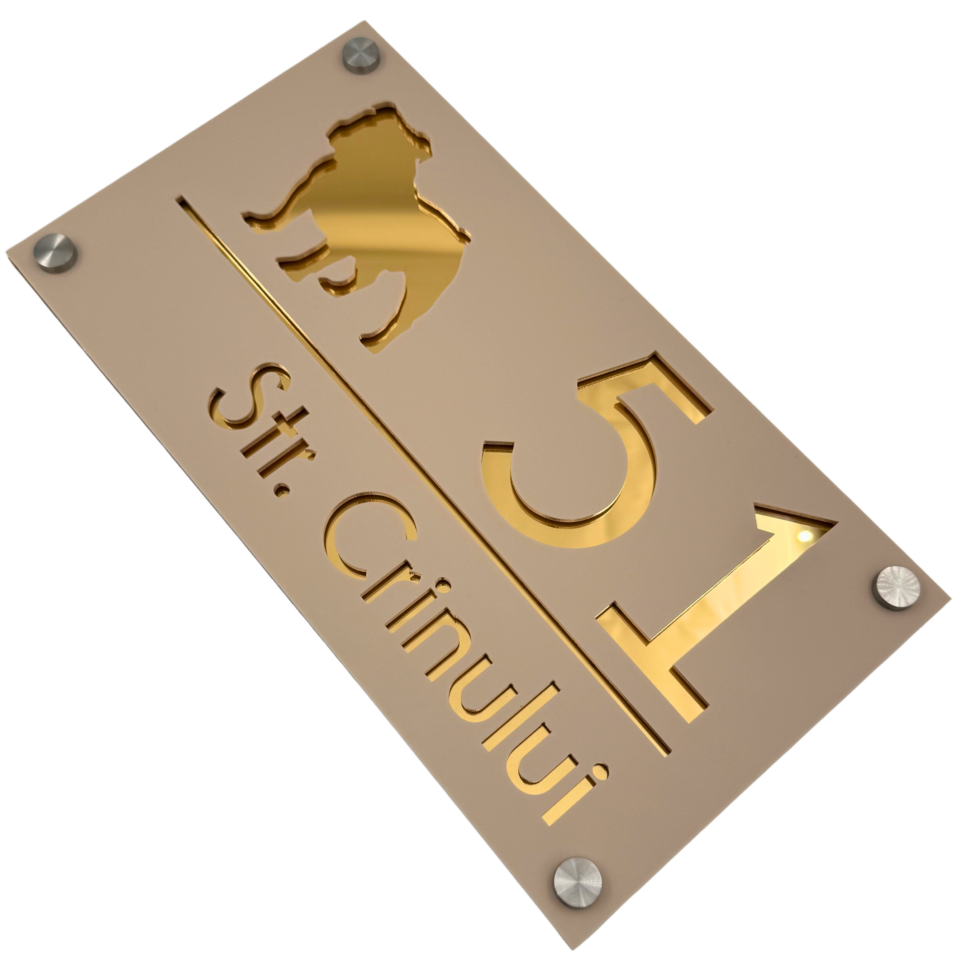 PREMIUM HOUSE NUMBER - Cream colour Satin Gold Mirror 4 Spacers Silver - 28×15 cm