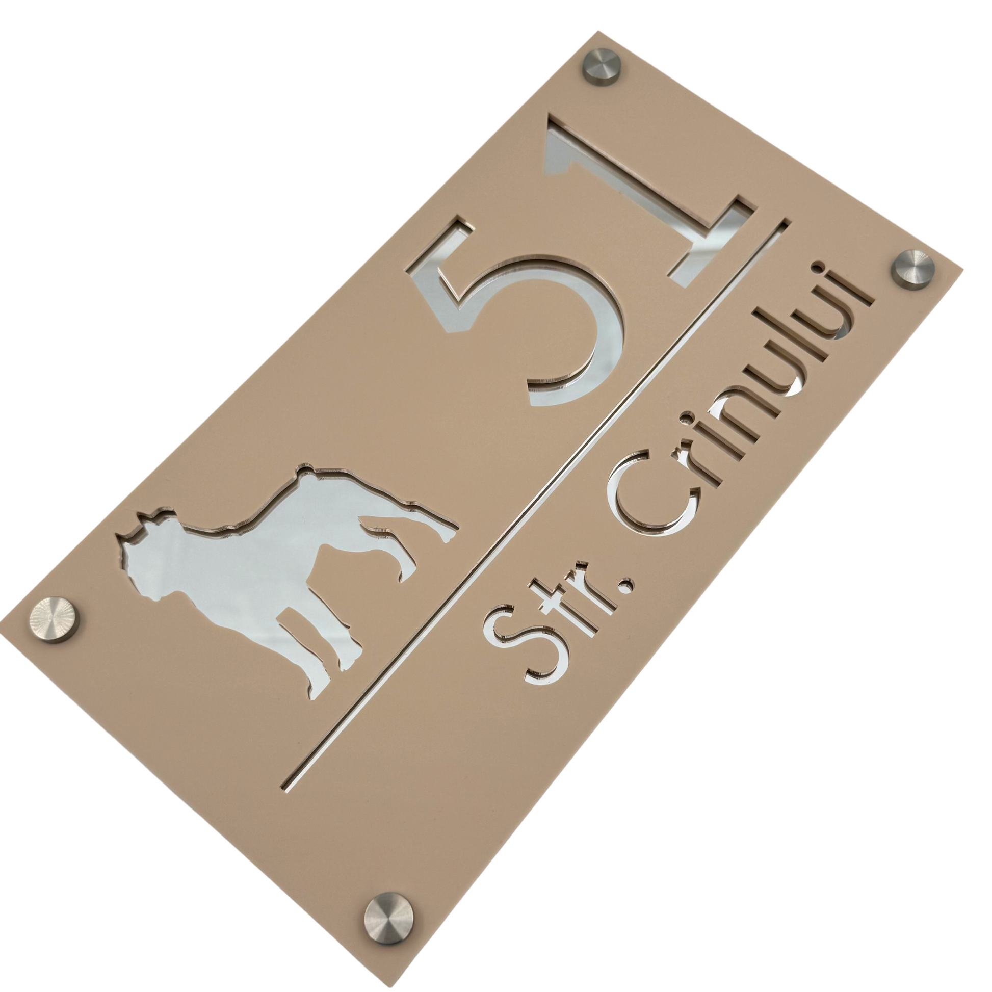 PREMIUM HOUSE NUMBER - Cream colour Satin Silver Mirror 4 Spacers Silver - 28×15 cm