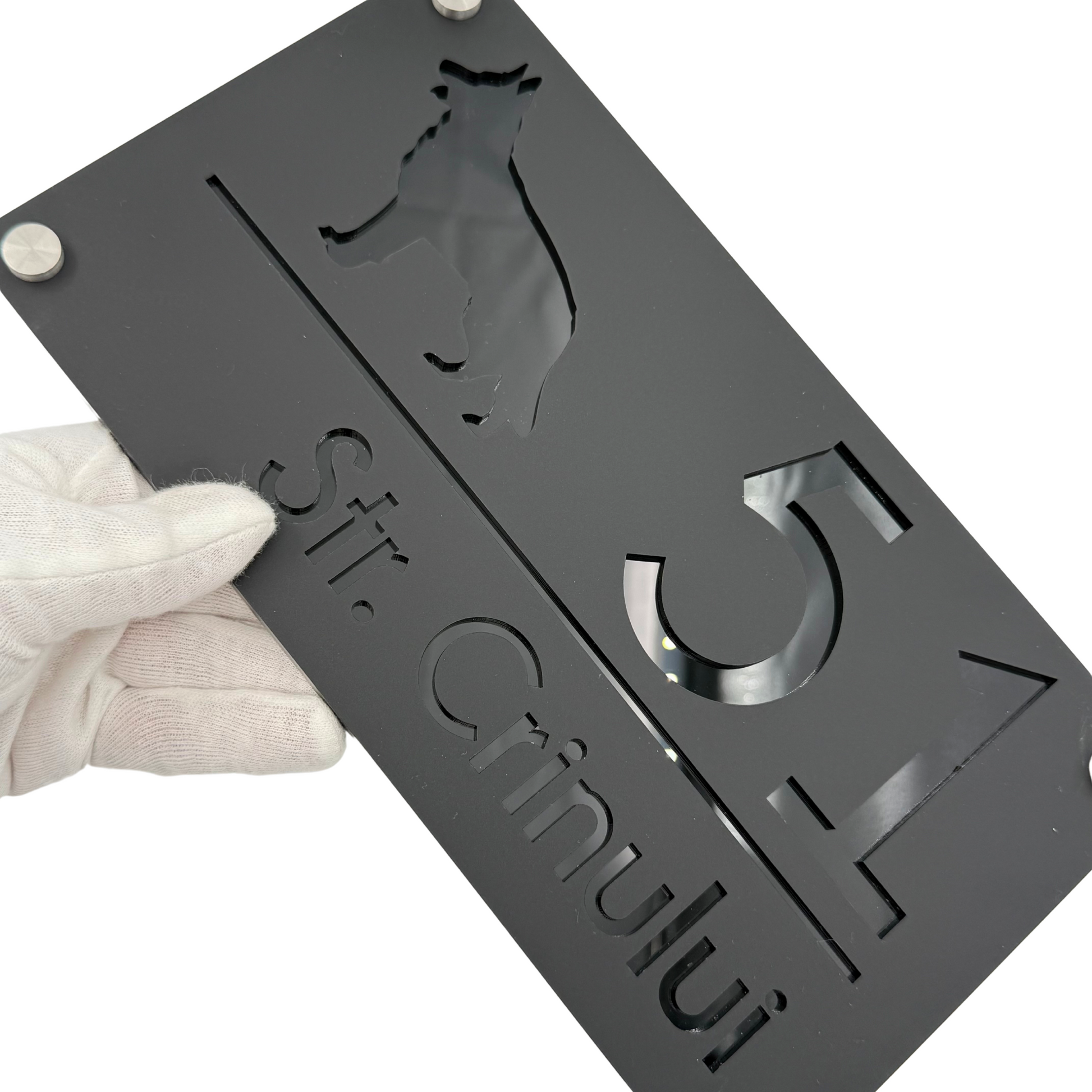 PREMIUM HOUSE NUMBER - Satin Black Glossy Black 4 Spacers Silver - 28×15 cm