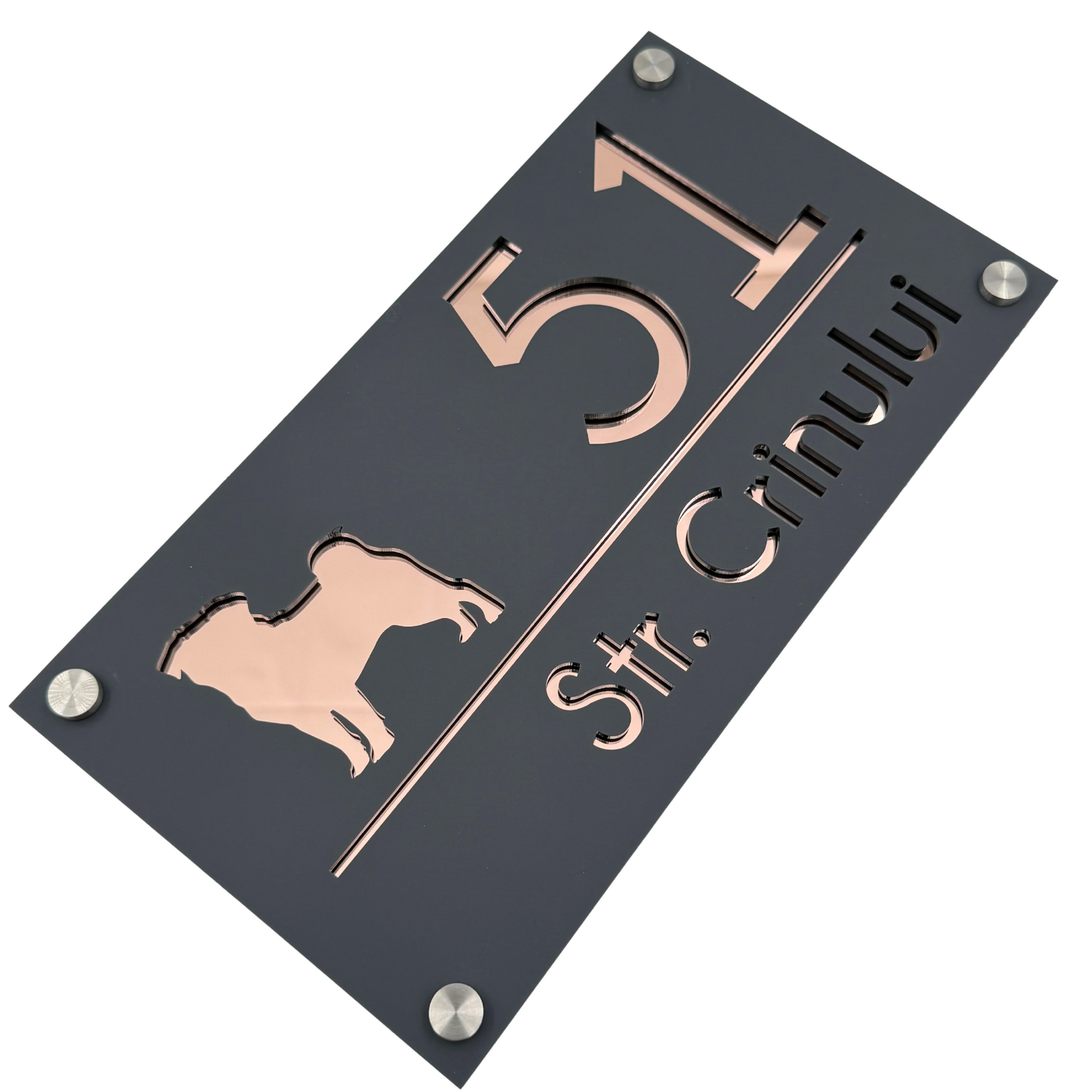 PREMIUM HOUSE NUMBER - Satin Grey Rose Gold Mirror 4 Spacers Silver - 28×15 cm