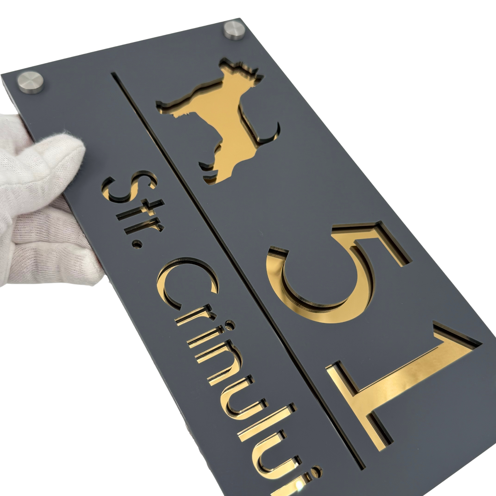 PREMIUM HOUSE NUMBER - Satin Grey Gold Mirror 4 Spacers Silver - 28×15 cm