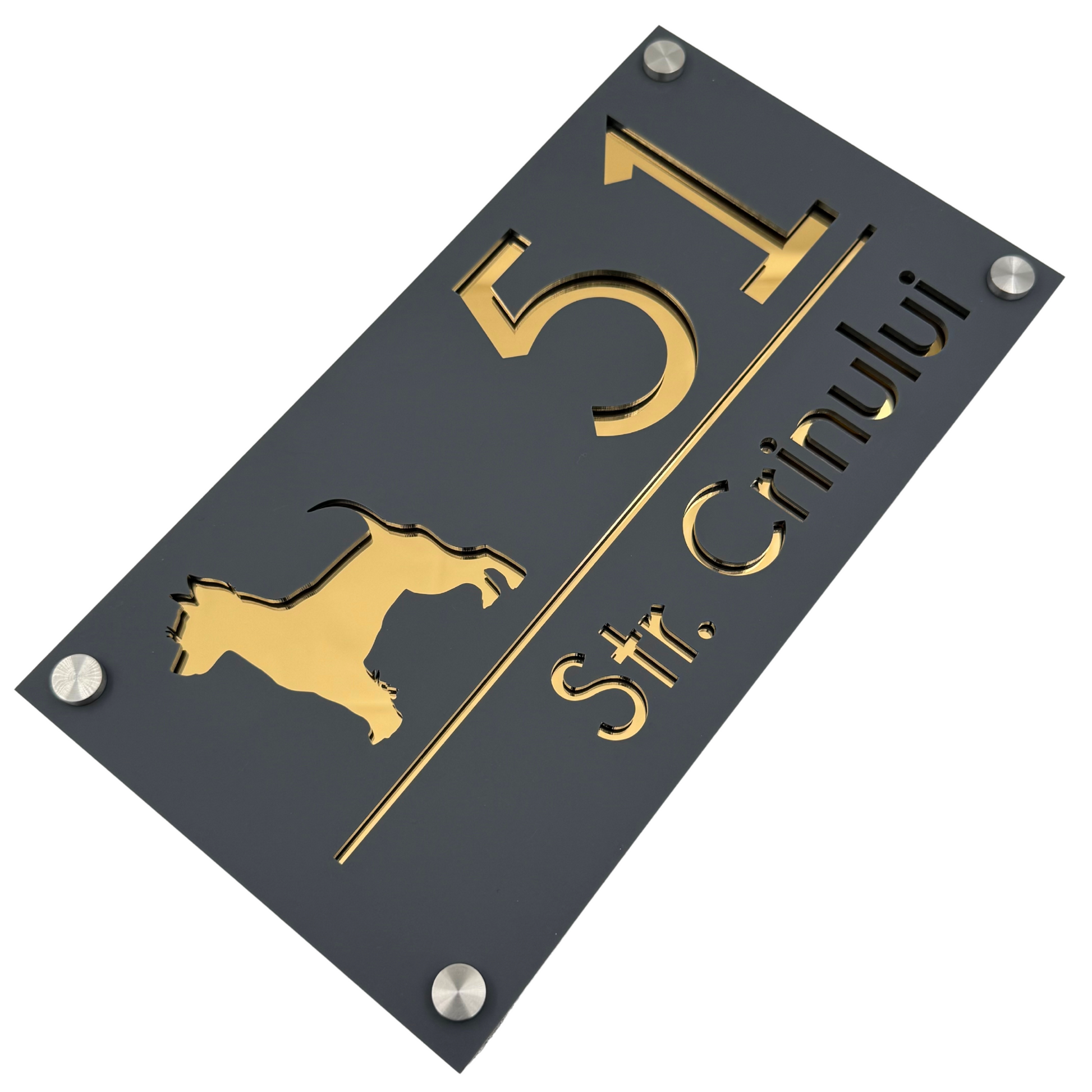PREMIUM HOUSE NUMBER - Satin Grey Gold Mirror 4 Spacers Silver - 28×15 cm