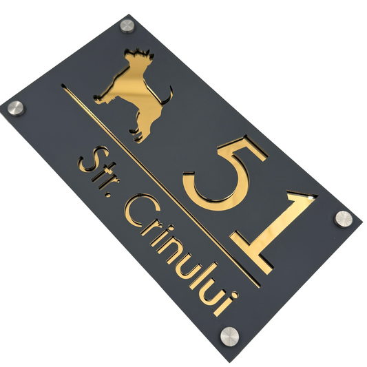PREMIUM HOUSE NUMBER - Satin Grey Gold Mirror 4 Spacers Silver - 28×15 cm