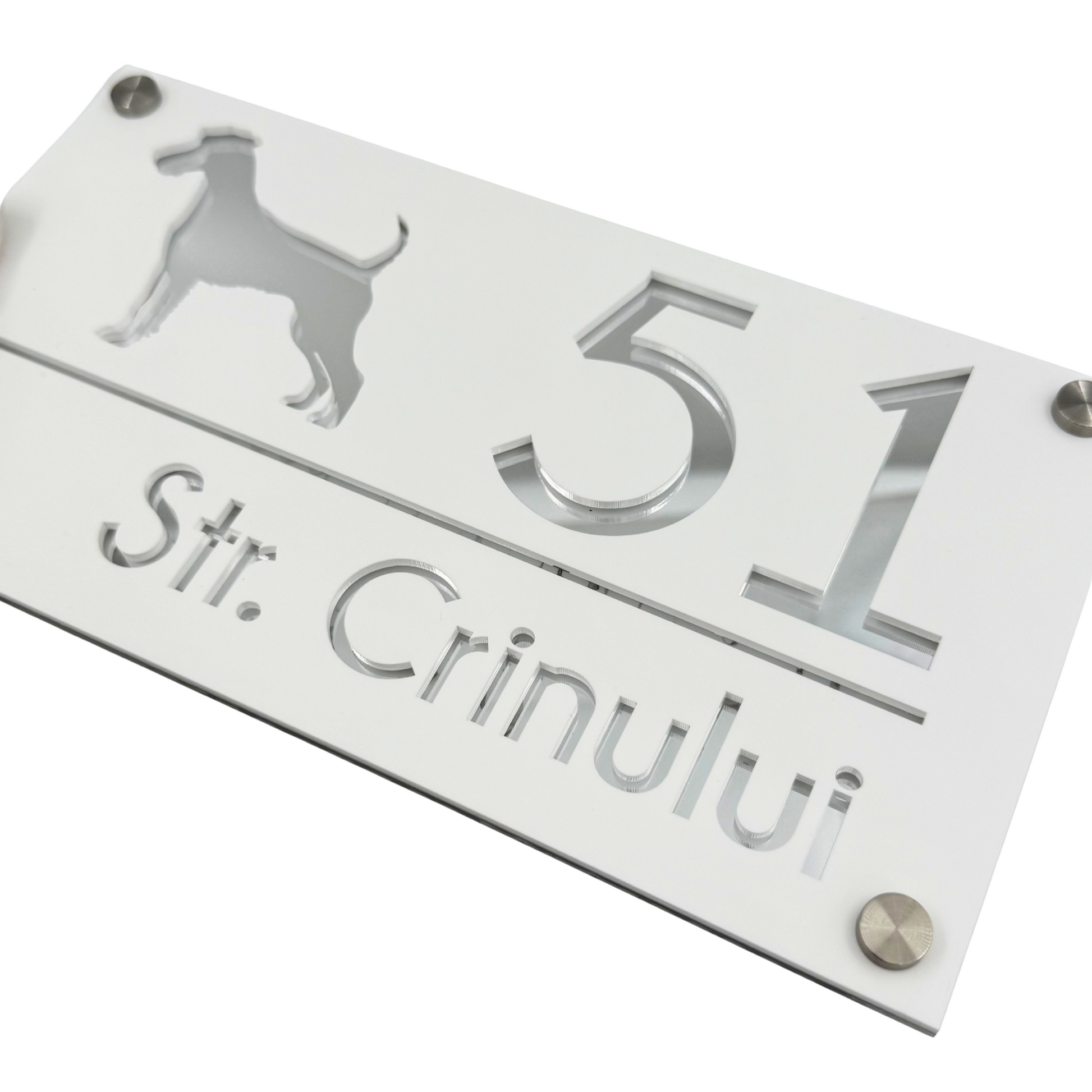 PREMIUM HOUSE NUMBER - White Satin Silver Mirror 4 Spacers Silver - 28×15 cm