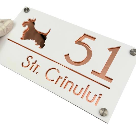 PREMIUM HOUSE NUMBER - White Satin Rose Gold Mirror 4 Spacers Silver - 28×15 cm