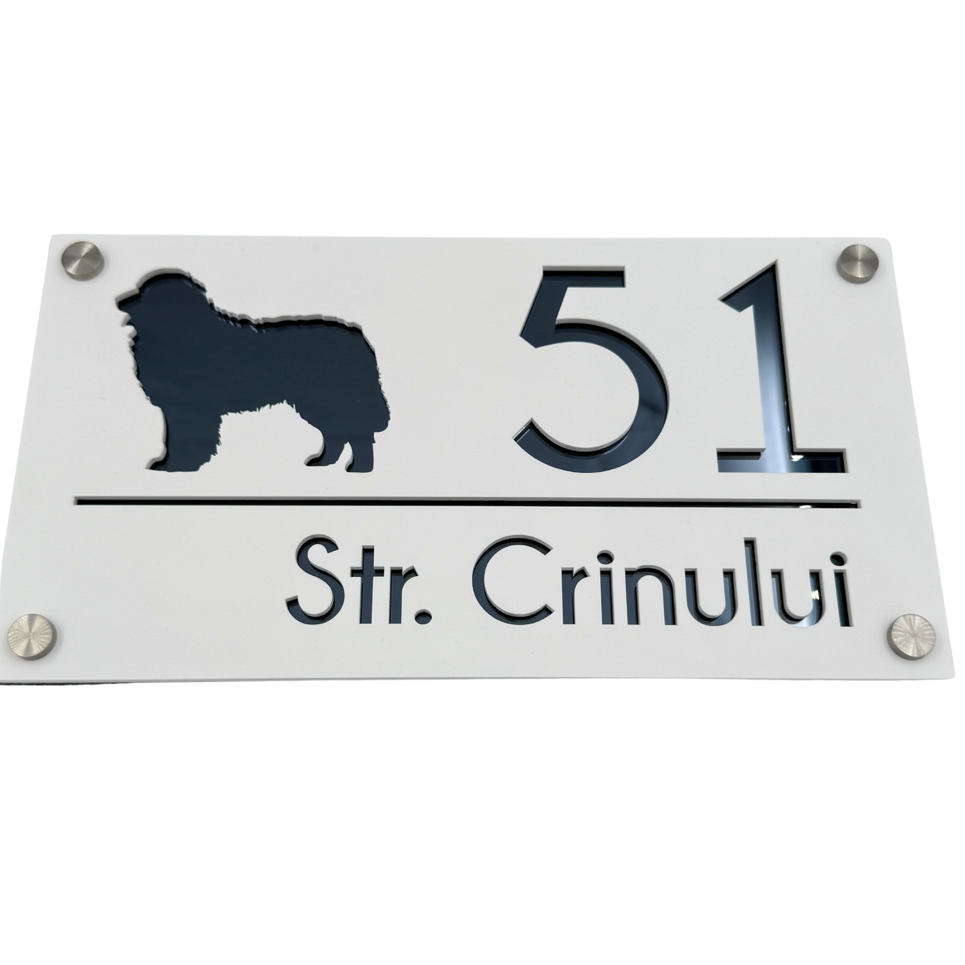 PREMIUM HOUSE NUMBER - White Satin Anthracite Grey Mirror 4 Spacers Silver - 28×15 cm