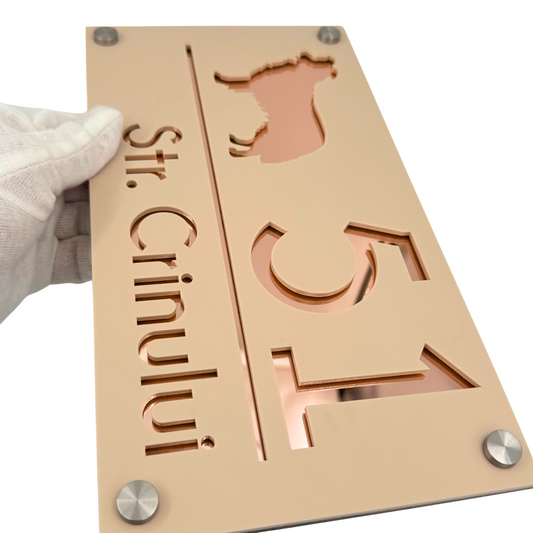 PREMIUM HOUSE NUMBER - Cream colour Satin Rose Gold Mirror 4 Spacers Silver - 28×15 cm