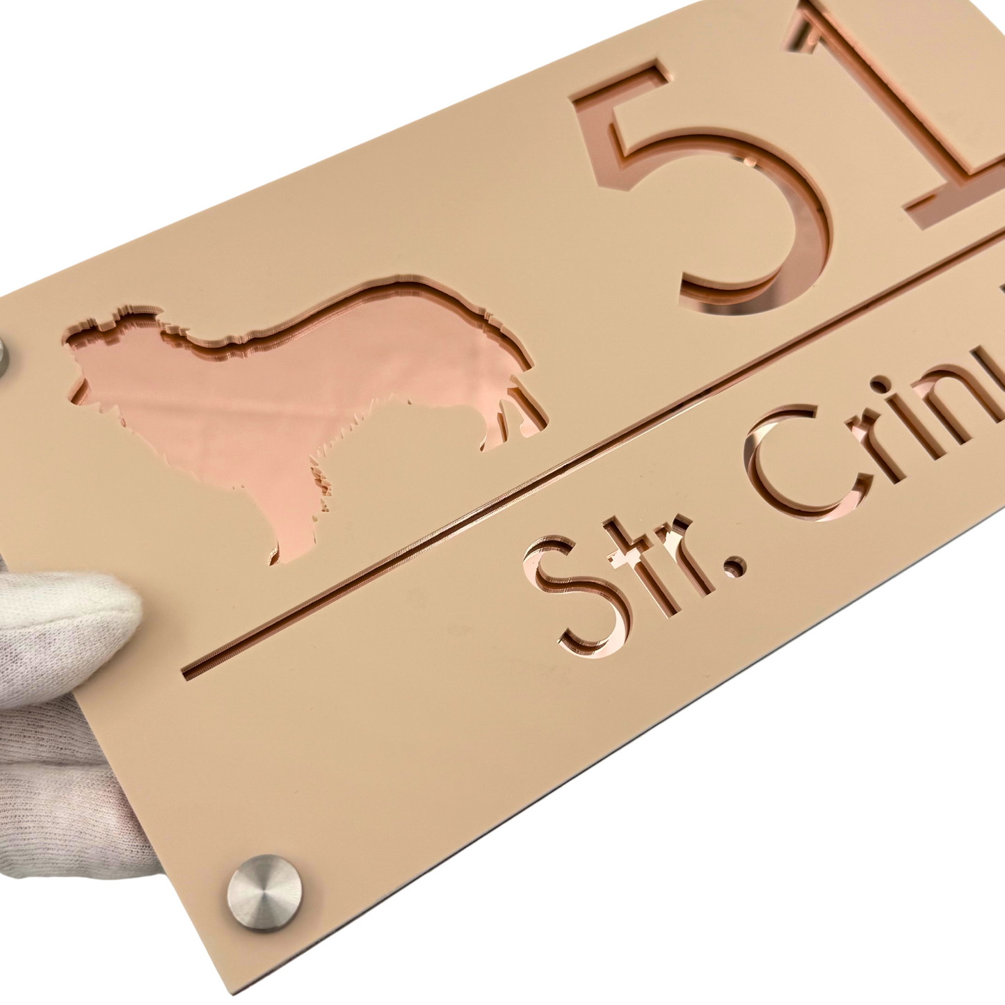 PREMIUM HOUSE NUMBER - Cream colour Satin Rose Gold Mirror 4 Spacers Silver - 28×15 cm