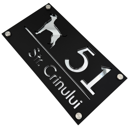 PREMIUM HOUSE NUMBER - Satin Black Silver Mirror 4 Spacers Silver - 28×15 cm