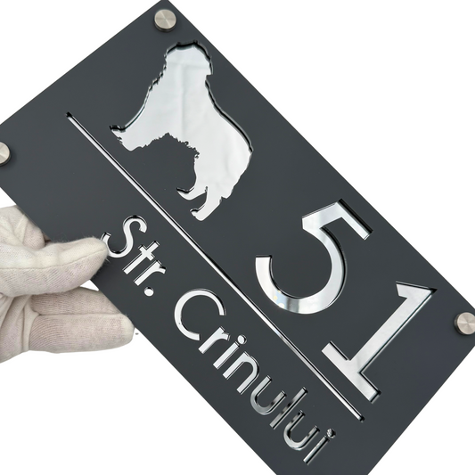 PREMIUM HOUSE NUMBER - Satin Grey Silver Mirror 4 Spacers Silver - 28×15 cm