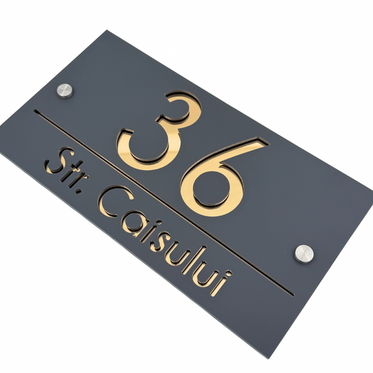 PREMIUM HOUSE NUMBER - Satin Grey Gold Mirror 2 Spacers Silver - 28×15 cm