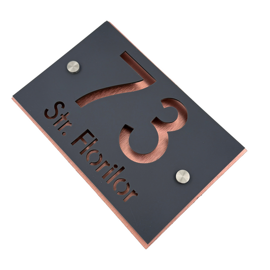 PREMIUM HOUSE NUMBER - Satin Grey Aluminium Pearly Copper 2 Spacers Silver - 20×13 cm